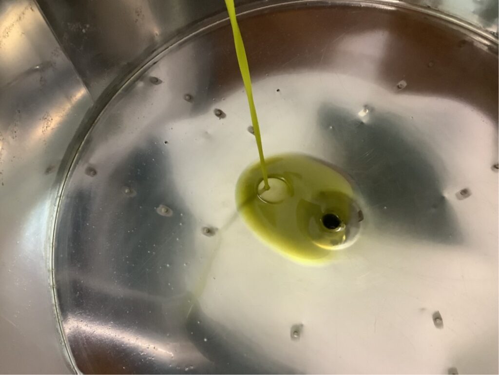 Newsletter 67 - Il prezzo dell’olio extravergine di oliva: un racconto oltre il “litro sullo scaffale” (07.03.2026)