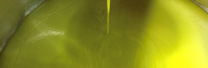 Newsletter 72 - Olio d’oliva e pesticidi: cosa emerge da uno studio europeo (07.08.2026)