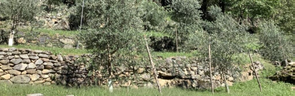 Newsletter 73 - Dalla scommessa al Platinum Award: storia di Sant’Agata (07.09.2026)
